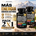 Shilajit + Ashwagandha + Rhodiola Rosea + Panax Ginseng – Suplemento Natural Energizante 60 Cápsulas